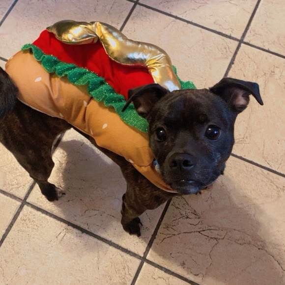 Meet your Posher, Carissa - Picture 9 of 15